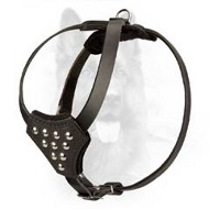 Canine Puppy Leather Harness with Nickel Studs