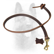 Professional Short Leather K9 Dog Lead for Obedience Training
