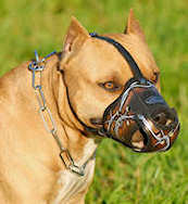 Protection Training Leather Police Dog Muzzle Barbed Wire Painted