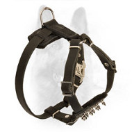 Police Dog Puppy Leather Harness with Nickel Spikes