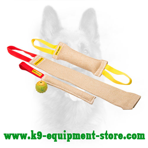 Jute Canine Bite Set with Bonus Rubber Ball