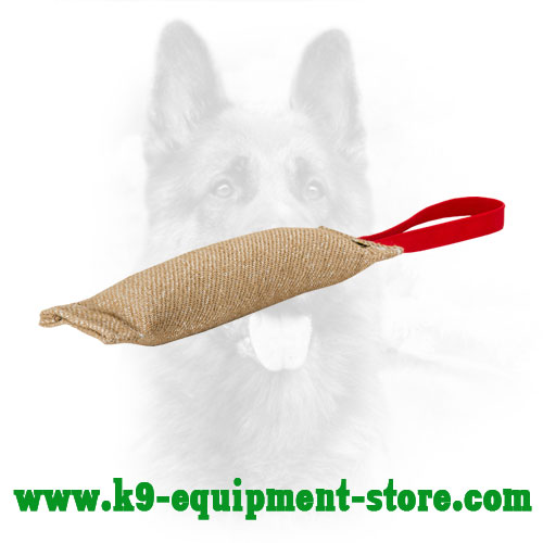 Jute Dog Bite Pad for Puppies and Young Canine