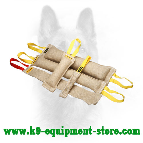 Jute Canine Bite Tug Set for Training