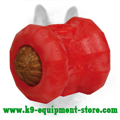 Funny Dog Chewing Toy Made of Foam