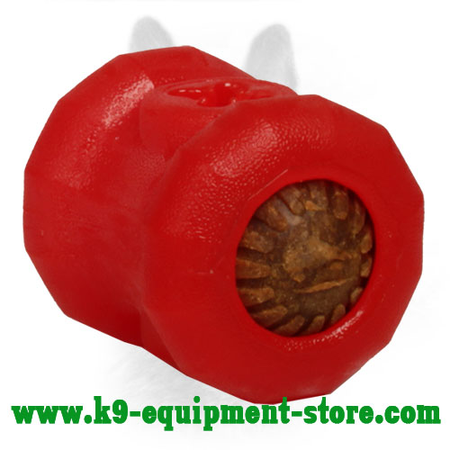 Funny Dog Food Holder Toy Made of Foam