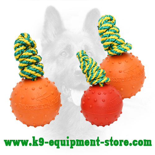 Dotted Rubber Dog Toy Ball for Training