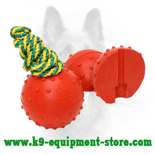 Dotted Rubber Dog Toy Ball for Training