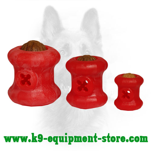 Dog Treat Toy Made of Durable Foam Three Sizes
