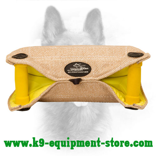 Canine Jute Bite Builder with Easy Grip Angle