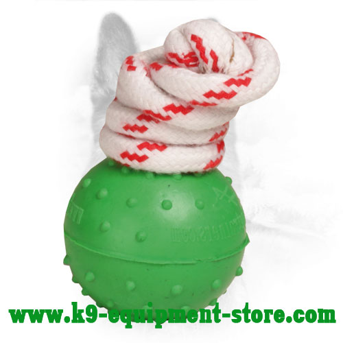 K9 Dog Bite Ball Made of Durable Rubber