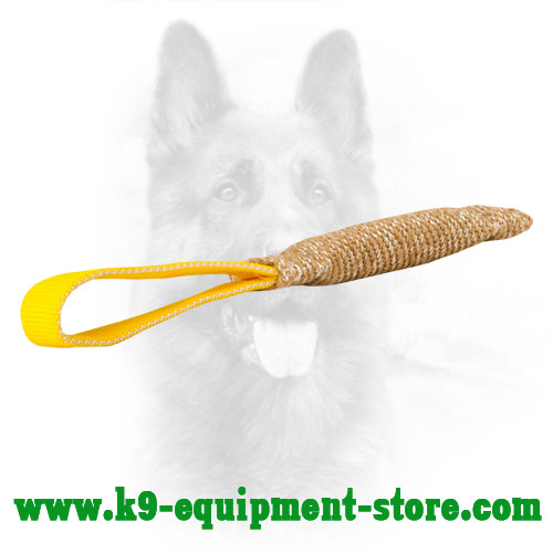 Puppy Jute Bite Tug Equipped with Comfortable Loop