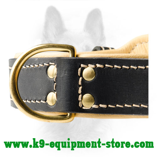 Brass D-ring Riveted to K9 Leather Collar