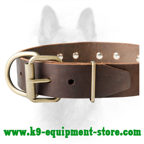 Brass Buckle and D-ring Riveted