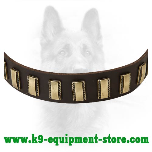Brass Plates for K9 Collar Decoration
