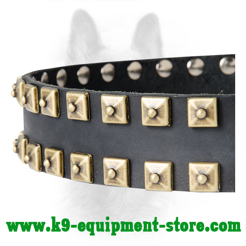 Brass Square Doted Studs Riveted to Canine Leather Collar