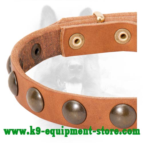 Brass Studs Fixed with Rivets on Leather K9 Collar