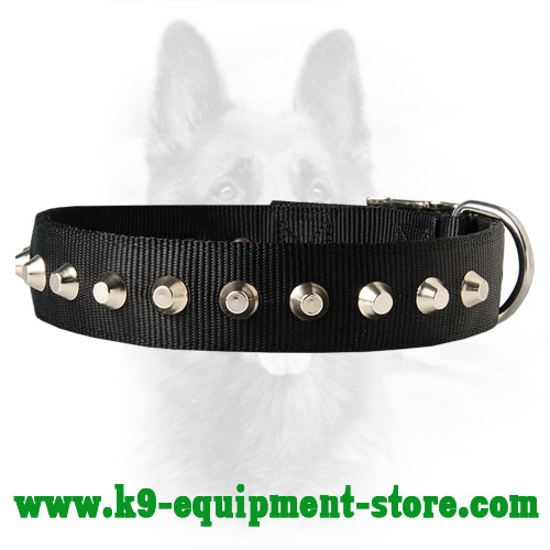 Nylon Collar for Canine with Riveted Cones