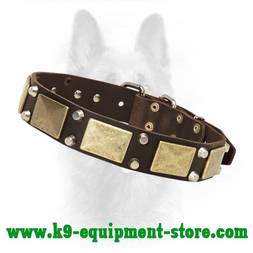 Leather K9 Dog Collar with Brass Plates and Nickel Cones