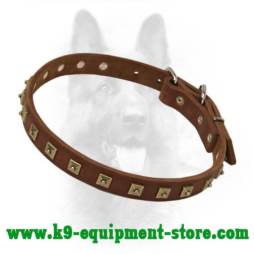 Leather Dog Collar for Canine with Gold-like Studs