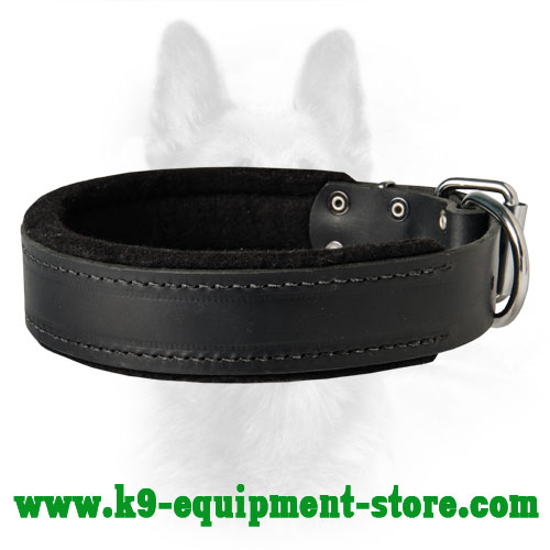 K9 Dog Collar Serves For Different Types Of Training