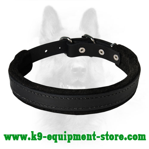 K9 Dog Collar Leather with Steel Nickel Plated Hardware