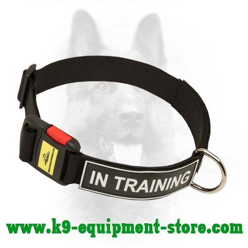 Fully Safe Non-Toxic Nylon Dog Collar