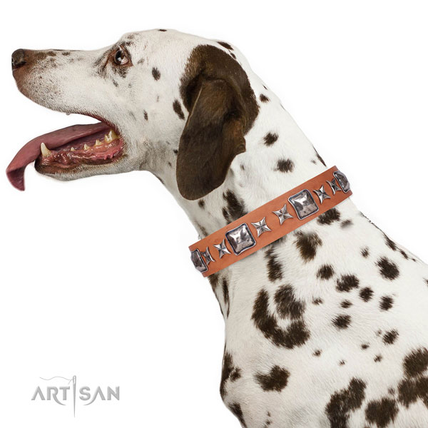 Stylish walking studded dog collar of top quality material