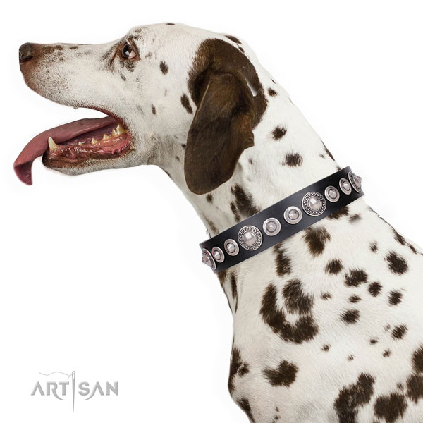 Designer decorated genuine leather dog collar for comfy wearing