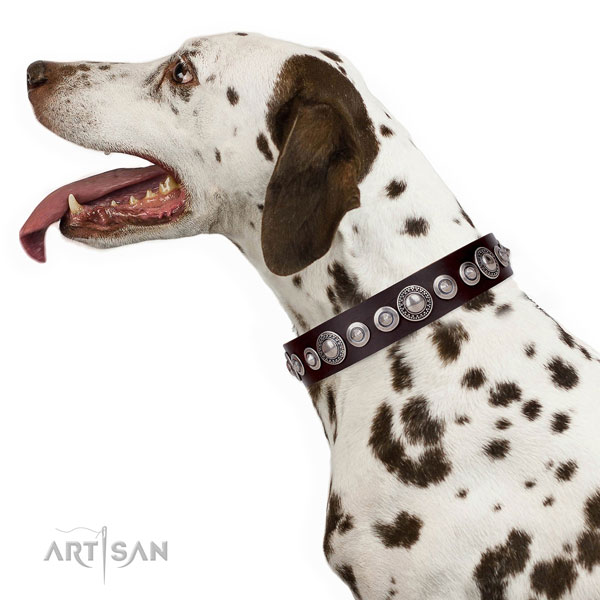 Designer embellished genuine leather dog collar for daily use