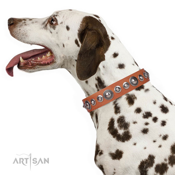 Stylish design embellished genuine leather dog collar for fancy walking