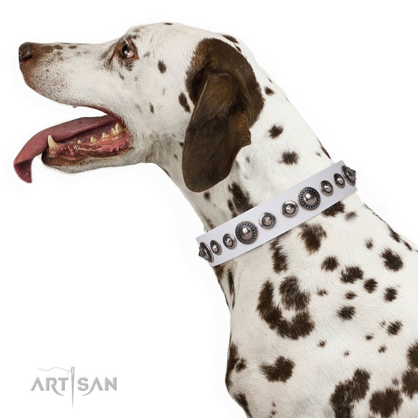 Significant adorned genuine leather dog collar for comfortable wearing