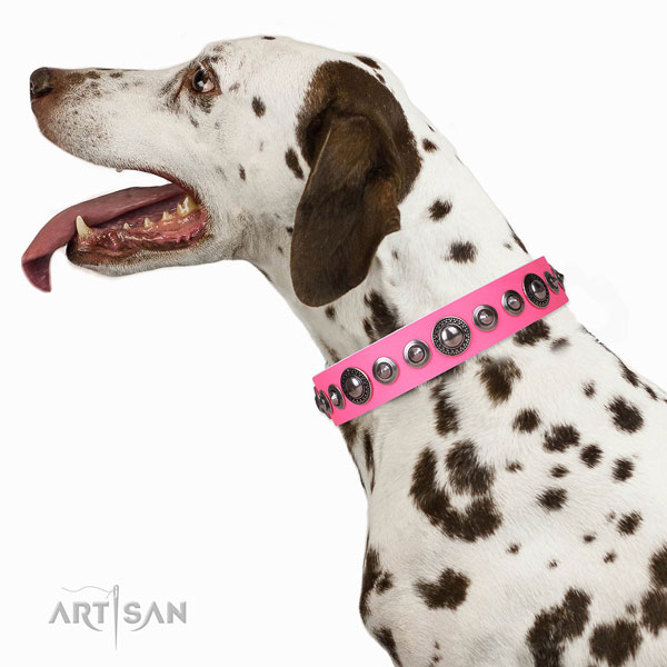 Incredible decorated genuine leather dog collar for stylish walking