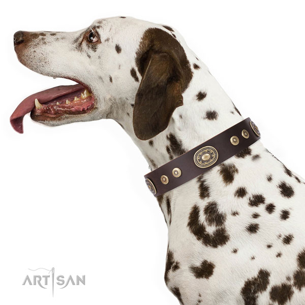 Stylish design adorned natural leather dog collar for handy use