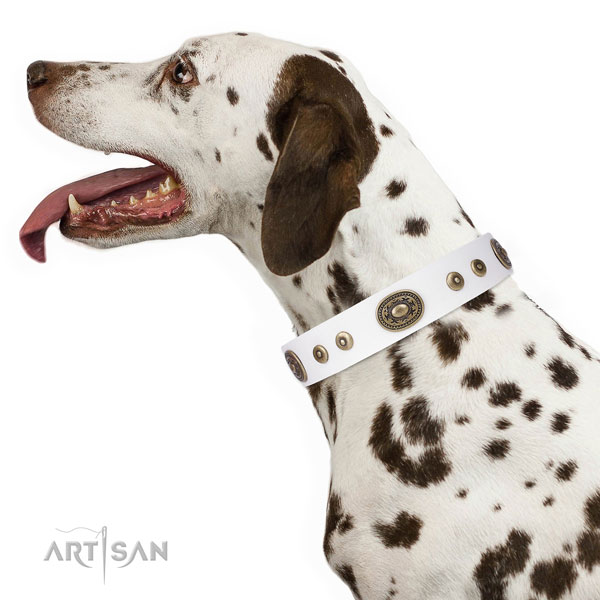 Stylish design embellished leather dog collar for handy use