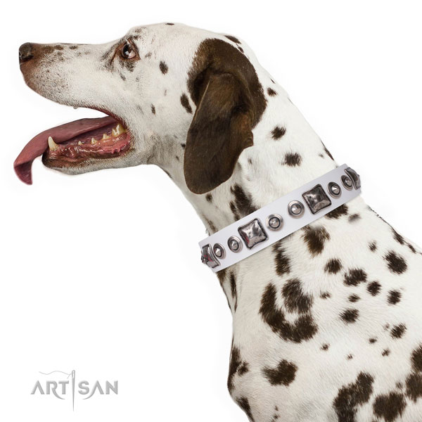 Stylish design adorned genuine leather dog collar for handy use