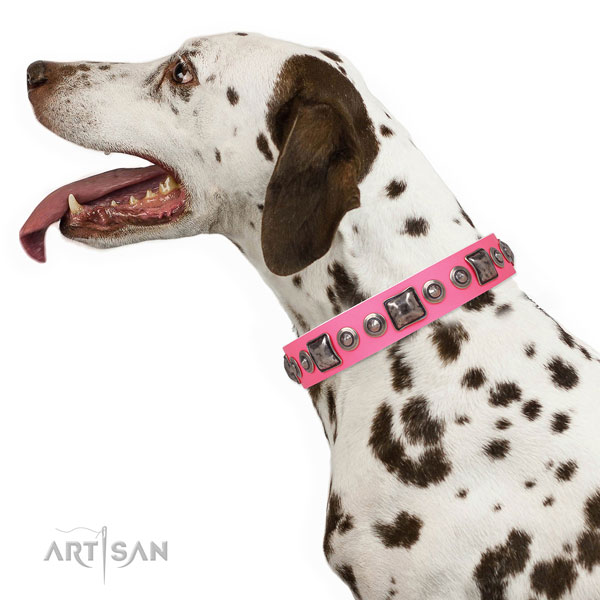 Awesome adorned natural leather dog collar