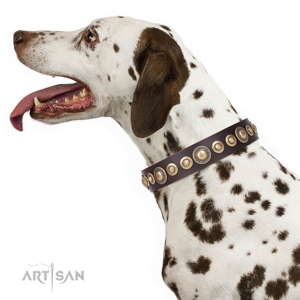 Trendy adorned natural leather dog collar