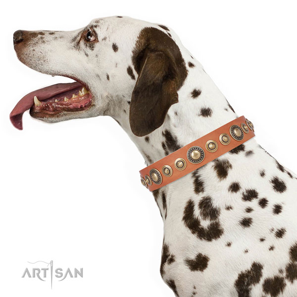 Strong buckle and D-ring on full grain leather dog collar for walking in style