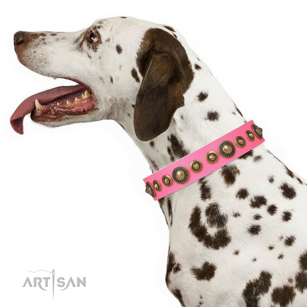 Rust-proof buckle and D-ring on genuine leather dog collar for daily use