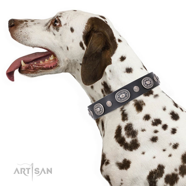 Reliable buckle and D-ring on natural leather dog collar for walking in style