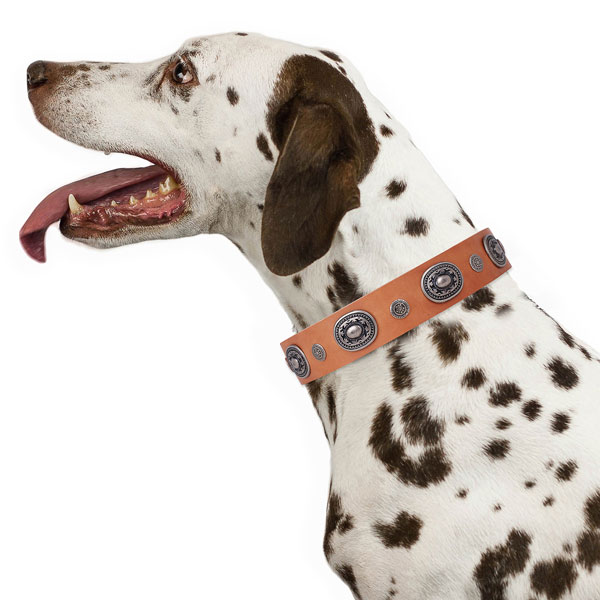 Full grain leather dog collar with corrosion proof buckle and D-ring for easy wearing