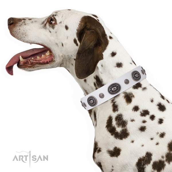 Genuine leather dog collar with rust resistant buckle and D-ring for comfy wearing