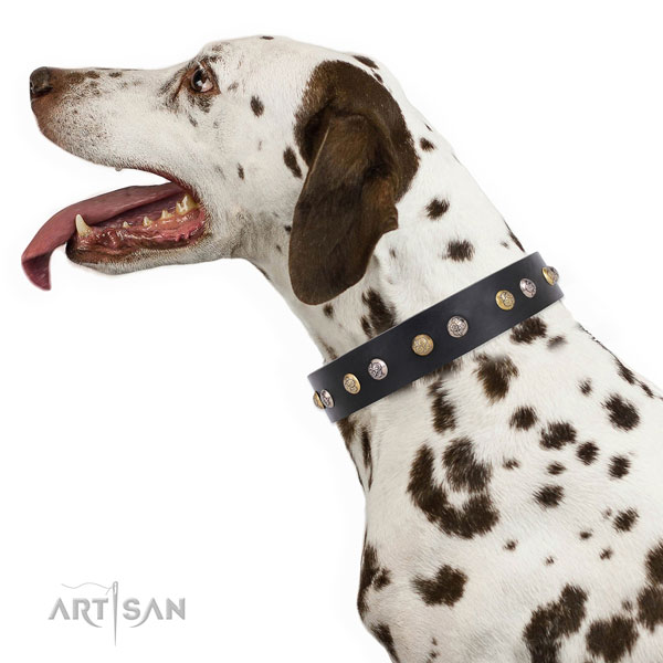 Leather dog collar with rust resistant buckle and D-ring for walking