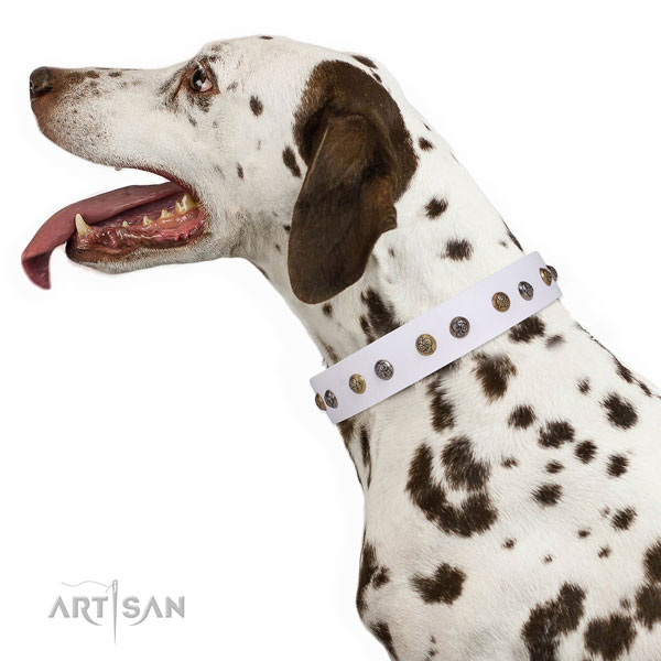 Handy use adorned dog collar made of top rate genuine leather