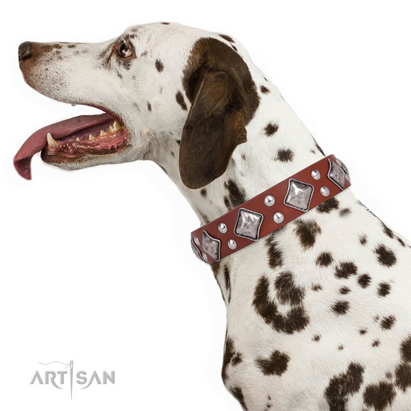 Everyday use studded dog collar made of high quality leather