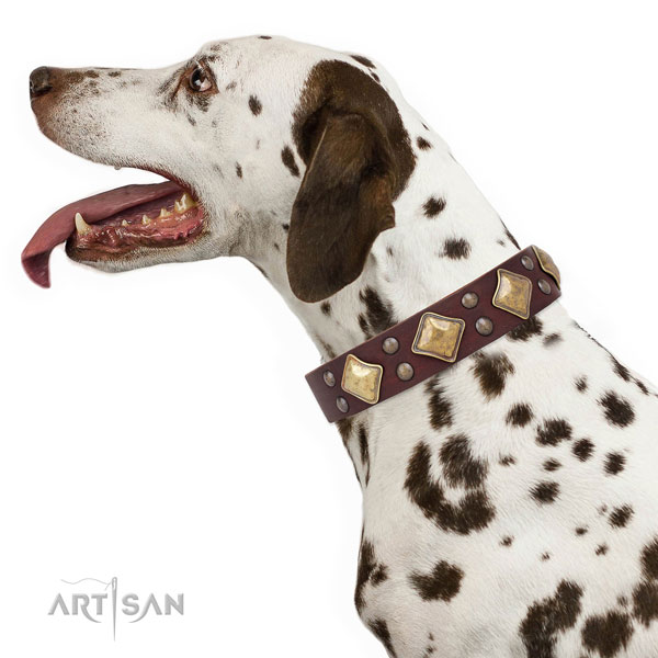 Easy wearing embellished dog collar made of best quality leather