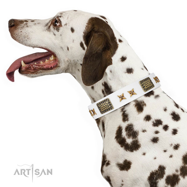 Fashionable studs on easy wearing full grain leather dog collar