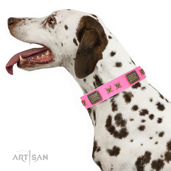 Inimitable adornments on easy wearing full grain leather dog collar