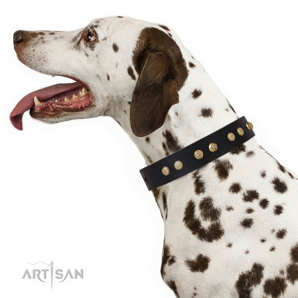 Stylish design adornments on easy wearing full grain natural leather dog collar