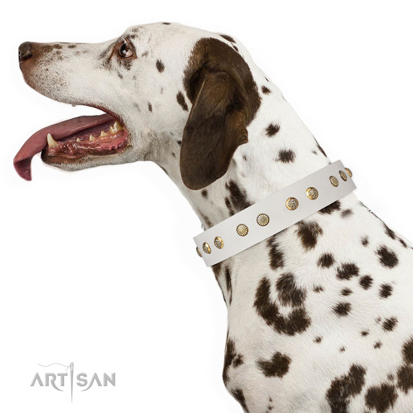 Incredible embellishments on everyday use full grain leather dog collar